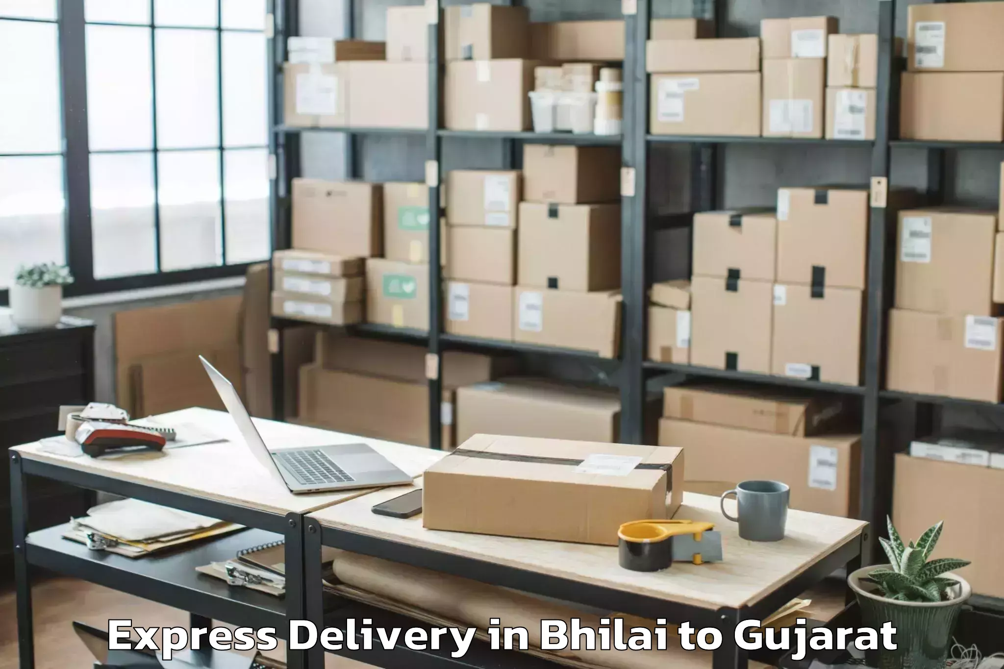 Leading Bhilai to Vaghodia Express Delivery Provider